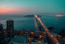 Seals help Japanese researchers collect data under Antarctic ice
