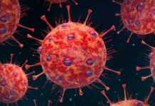 फिर कोरोना की हो रही है इंट्री..हो जाए सावधान